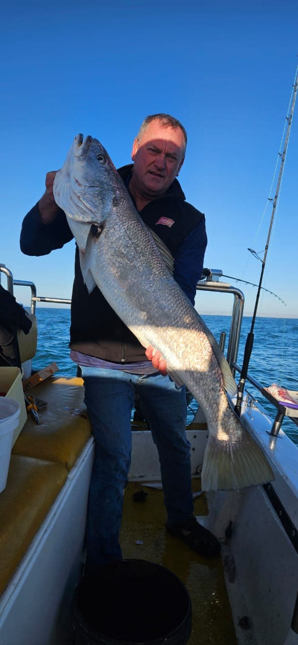 Large fish on boat