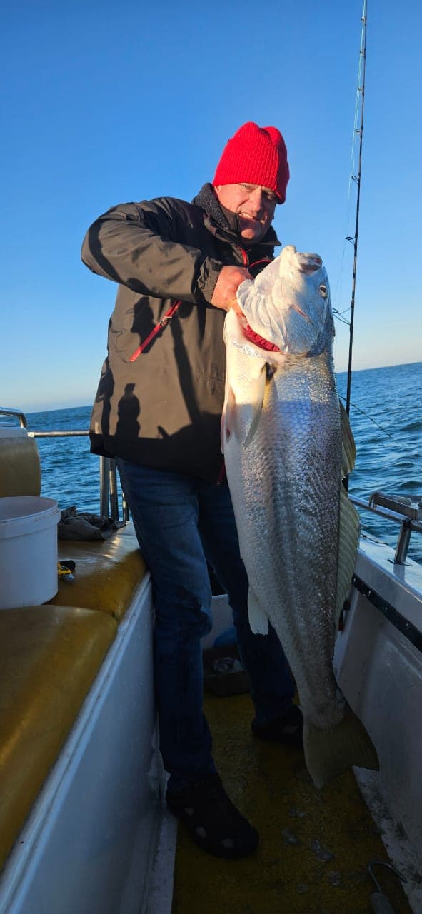 Massive silver fish catch