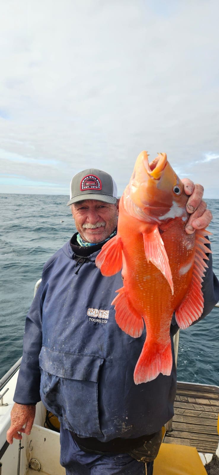 Orange rockfish display