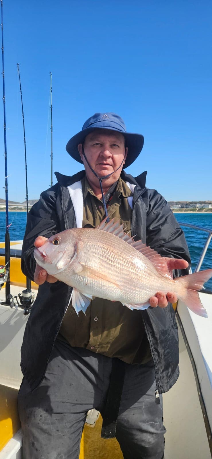 Pink snapper catch