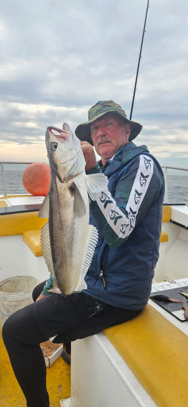 Silver fish at sunset